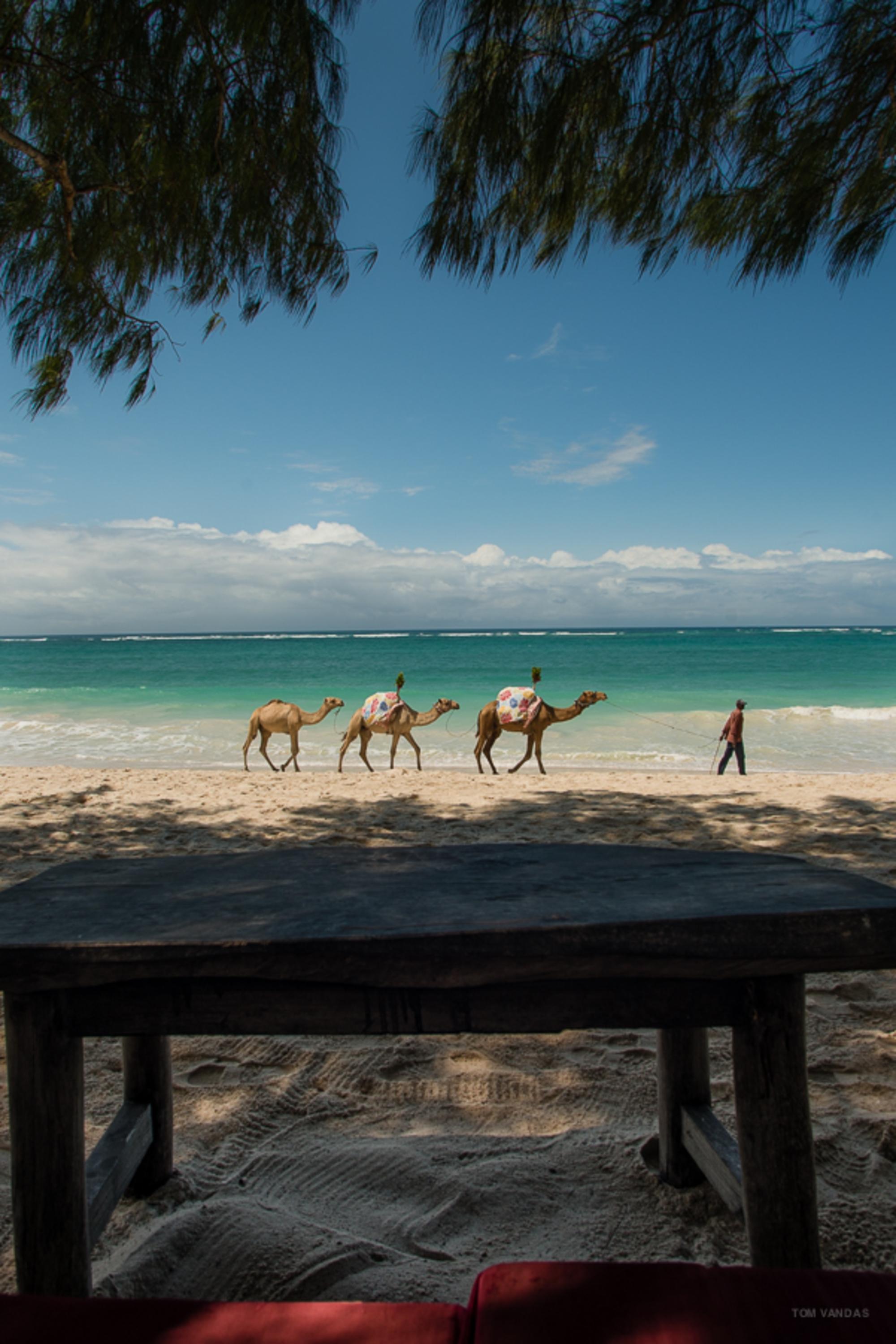 Bahari Dhow Beach Villas Diani Beach Exterior foto